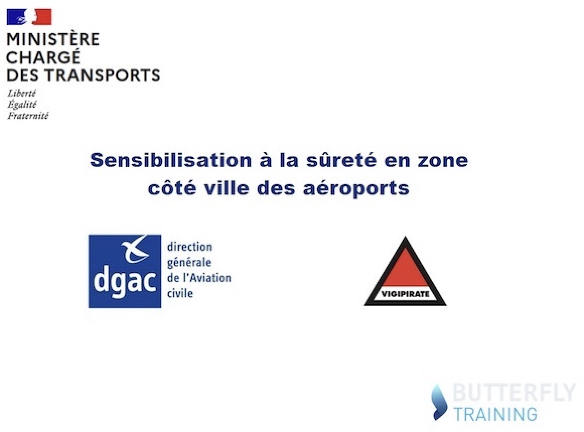 DGAC - Direction Générale de l'Aviation Civile